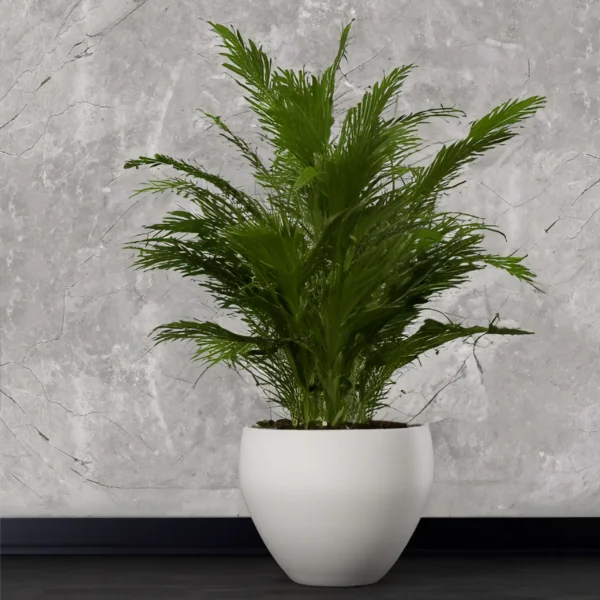 PVC Marmer Wandpaneel Grey Carrara 122x260cm - Image 4